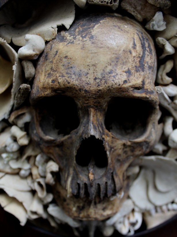 Sacred- Skull Art by Bruce Mahalski