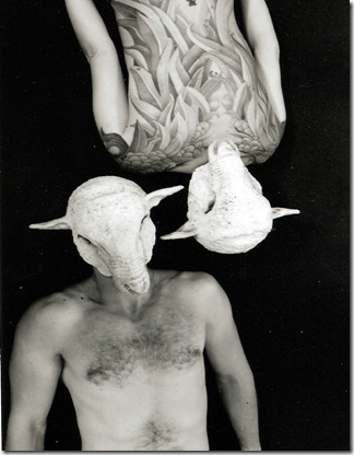 Sheep Heads _ Tom and Vaune