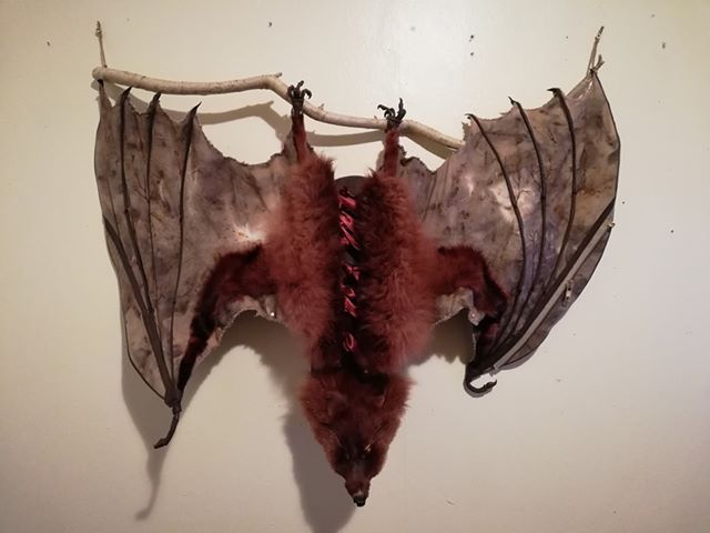 Flying fox corset 1